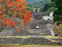 photo du site archéologique de l’ancienne cité maya de Palenque