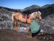photo d’un cavalier et son cheval dans un paysage lunaire
