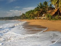 photo de la plage d’Unawatuna bordée de cocotiers