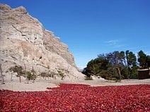 photo de piments rouges qui sèchent dans les vallées Calchaquíes
