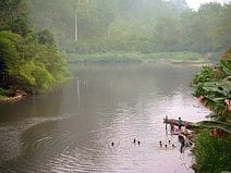 photo d’une rivière au sud de Balikpapan, sur la route de Banjarmasin