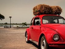 photo d’une coccinelle rouge au bord de la lagune de Tlacotalpan