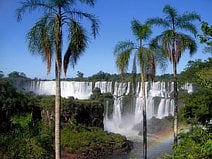 photo de cocotiers et de cascades formant le panorama d’Iguazú