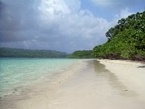 photo de la réserve naturelle d’Ujung Kulon et de sa forêt tropicale