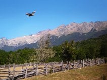 photo d’une barrière de bois le long de la route des sept lacs