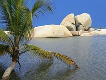 photo d’une lagune avec des crocodiles, des hérons et des pélicans