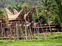 photo de tongkonan, les maisons traditionnelles du pays Toraja