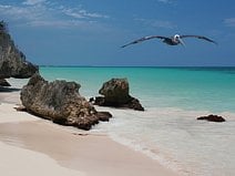 photo d’une mer turquoise survolée par un pélican