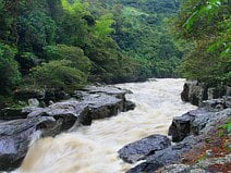 photo du fleuve Magdalena qui traverse la Colombie jusqu’à la mer des Caraïbes