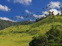 photo du village de Salento qui est typique de la zone caféïère